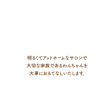 明るくてアットホームなサロンで 大切な家族であるわんちゃんを 大事におもてなしいたします。 